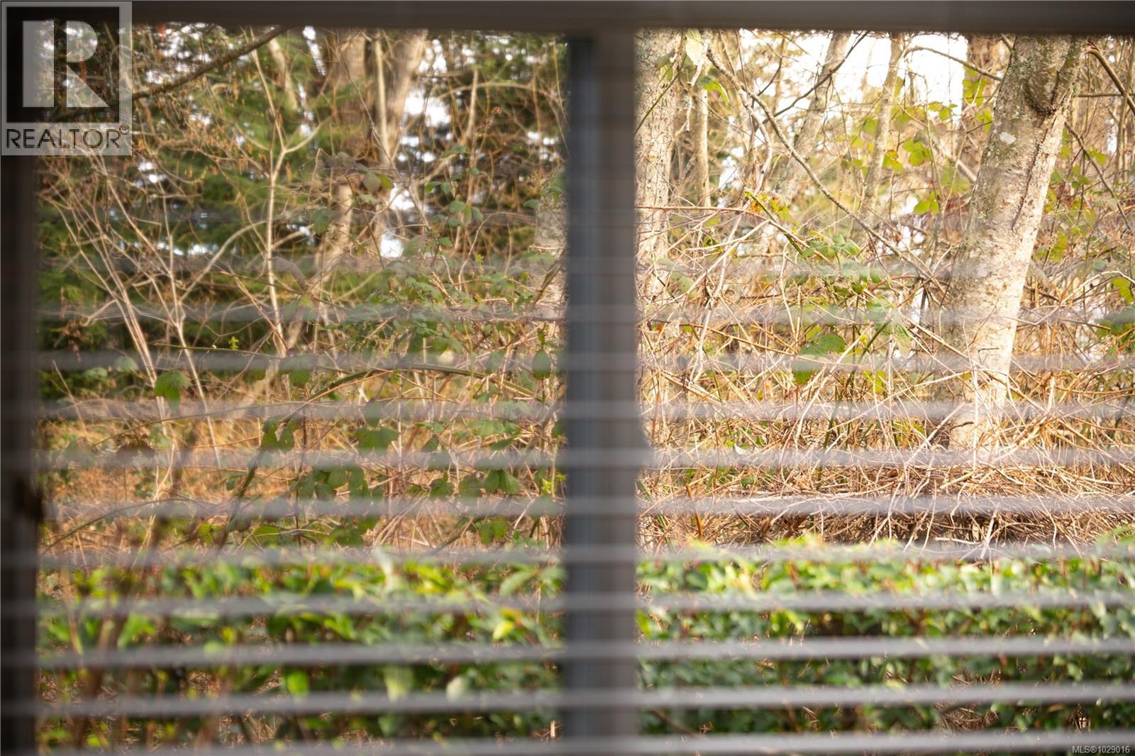 6156 BELLFLOWER WAY - 46