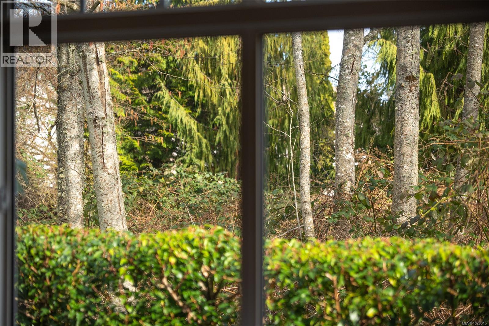 6156 BELLFLOWER WAY - 58