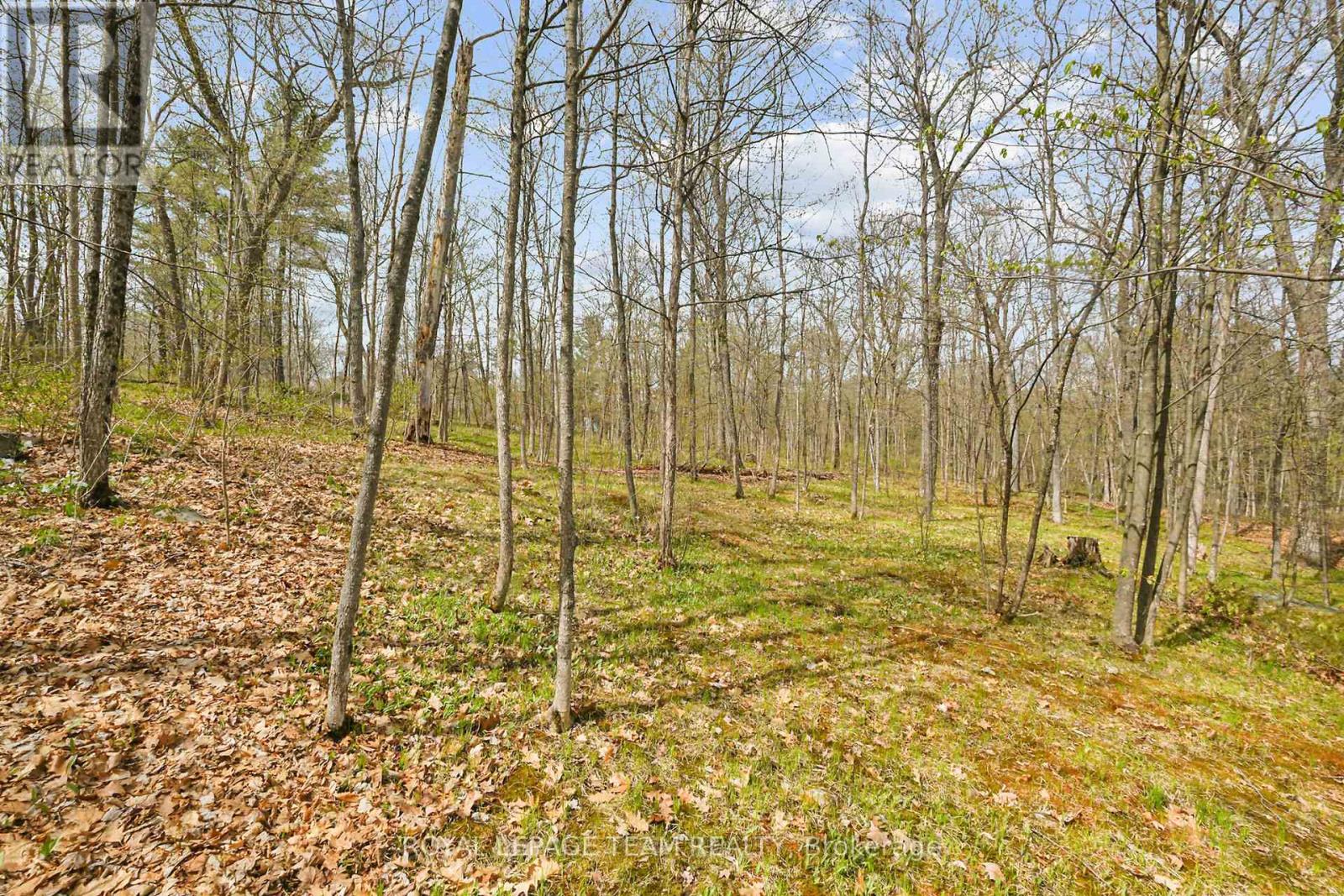 371 KENNEDY ROAD - 37