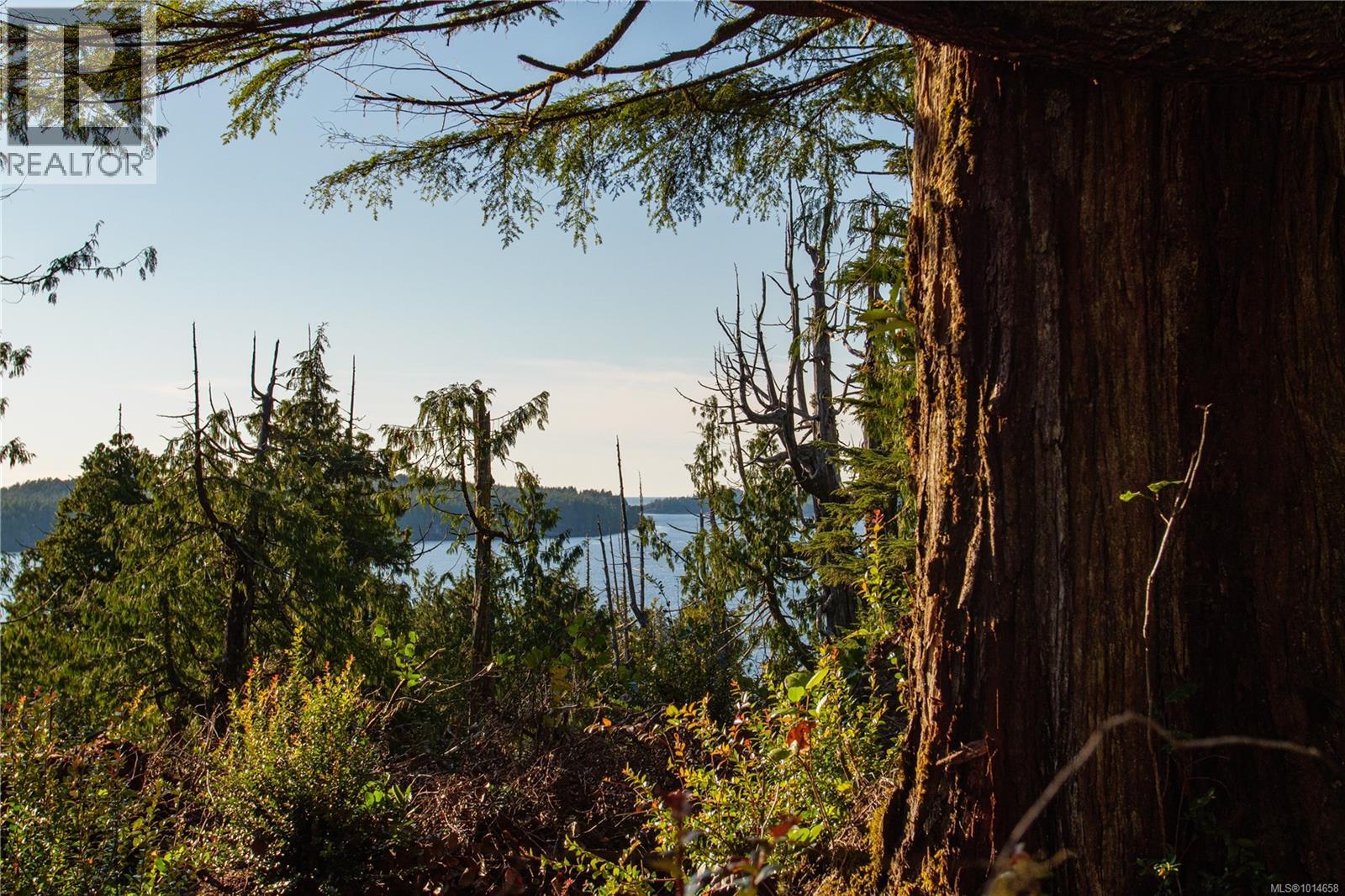 340 Tonquin Park Rd, Tofino