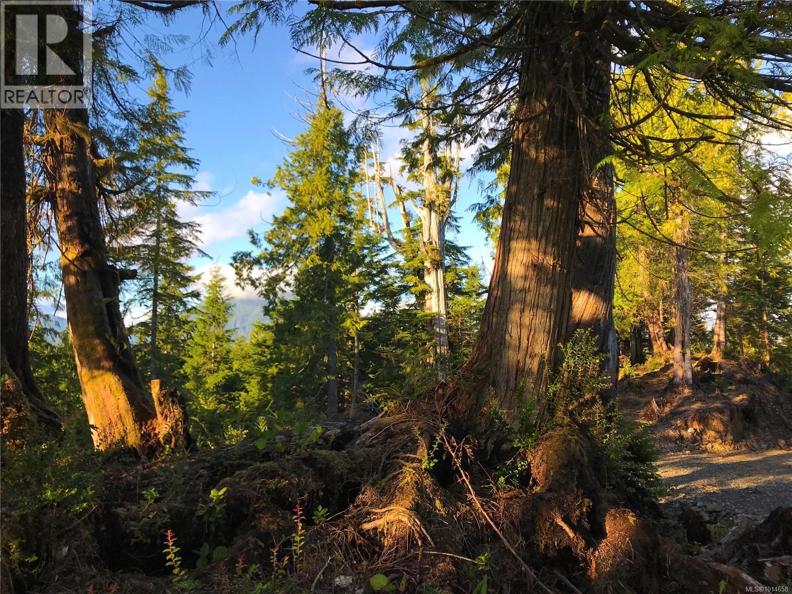 340 Tonquin Park Rd, Tofino