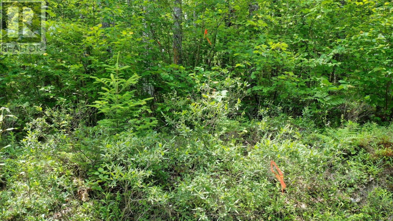 Property 13 of 21 of Lot 71 Baker Pt Road