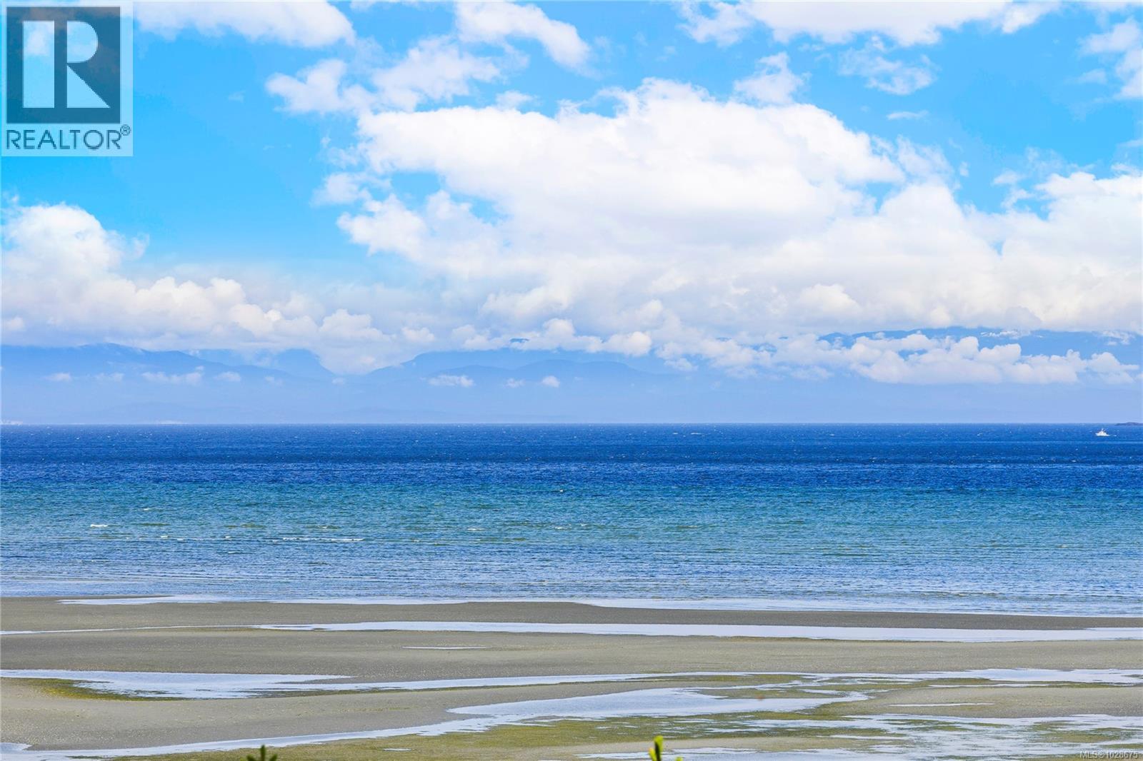 #568 1155 RESORT DR - 37