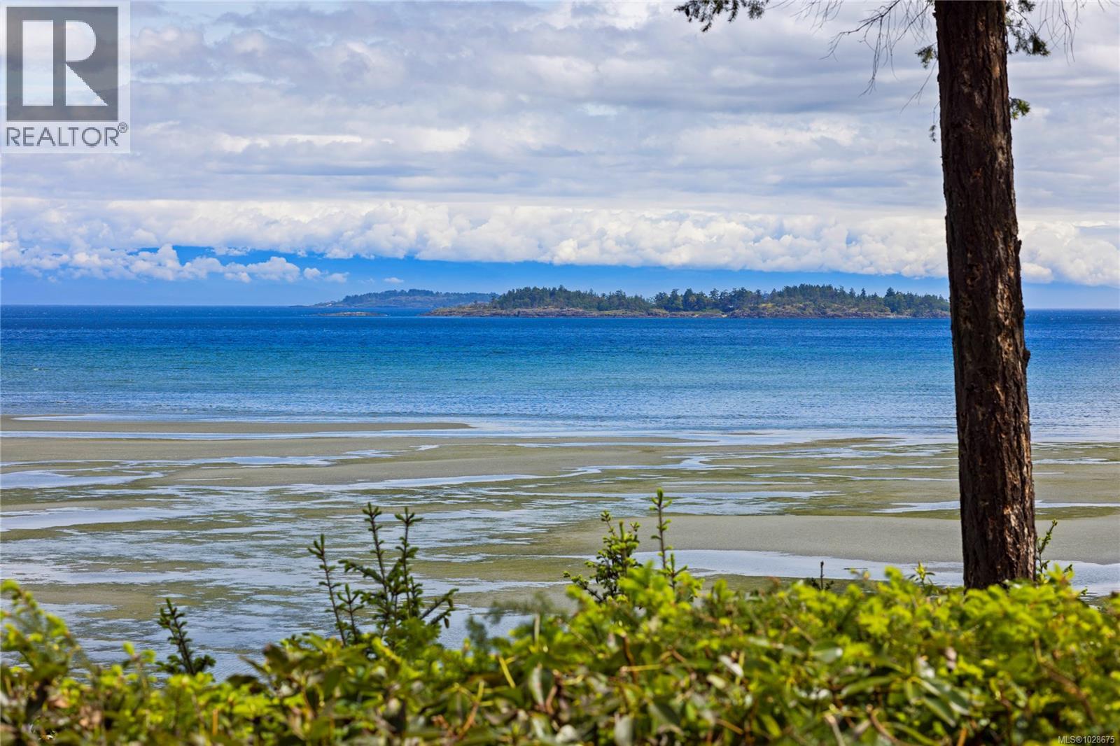 #568 1155 RESORT DR - 42