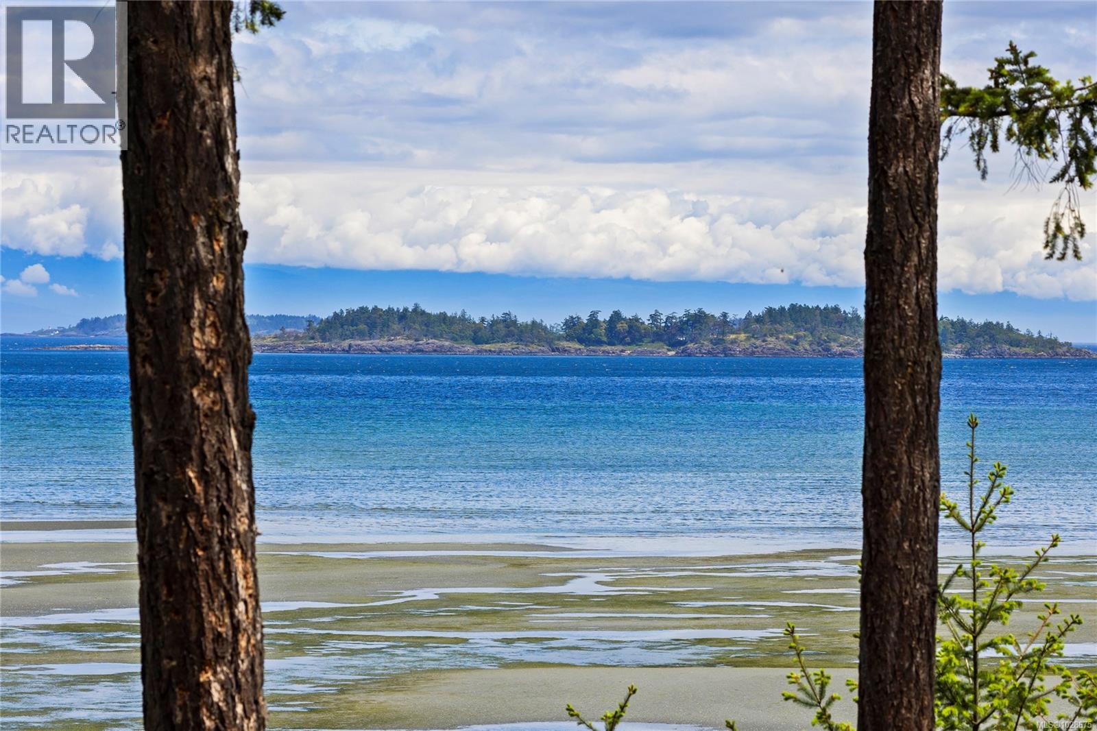 #568 1155 RESORT DR - 47