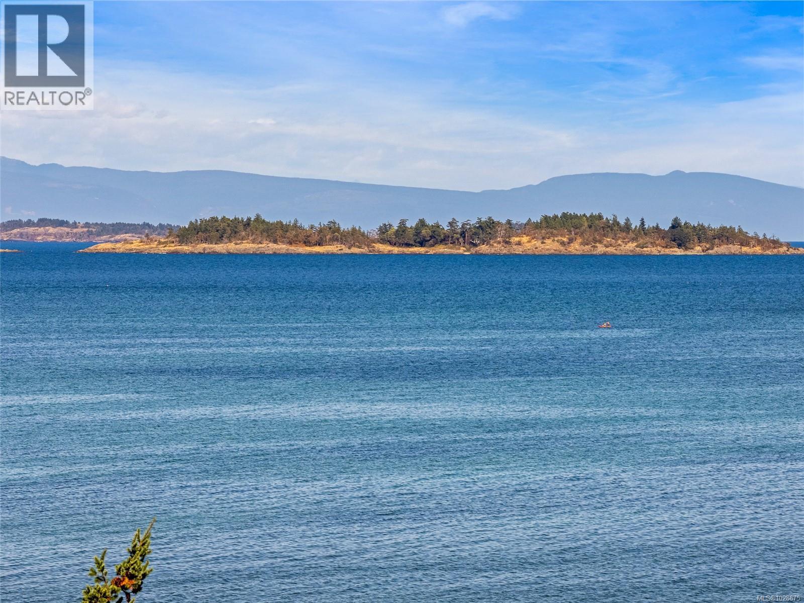 #568 1155 RESORT DR - 50