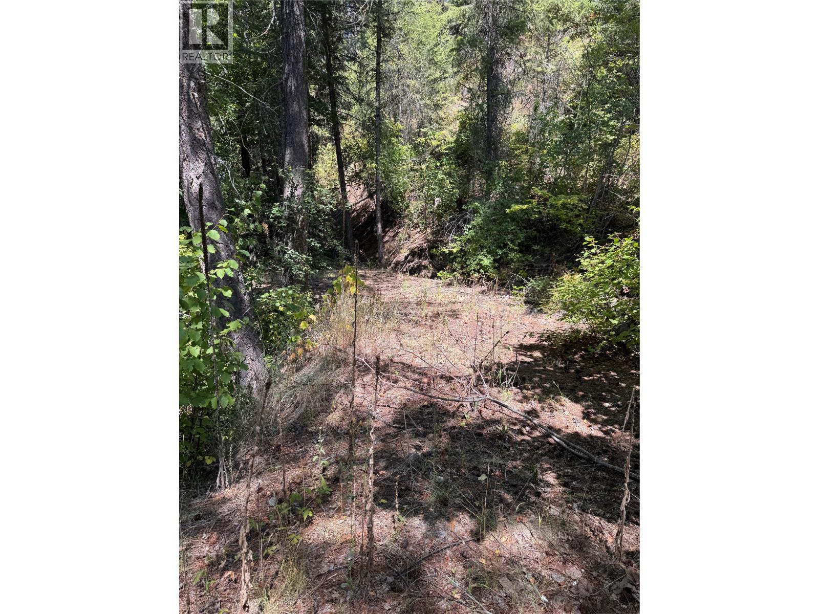 2160 3 Highway, Christina Lake