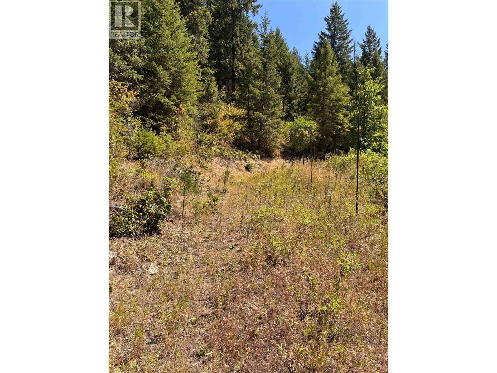 2160 3 Highway, Christina Lake