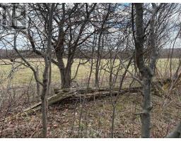 Ptlt 20 Con 8 (9th Line), Amaranth, ON L9W0H4 Photo 11