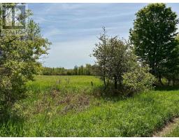 Ptlt 20 Con 8 (9th Line), Amaranth, ON L9W0H4 Photo 13