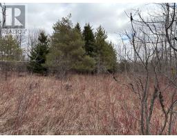 Ptlt 20 Con 8 (9th Line), Amaranth, ON L9W0H4 Photo 9
