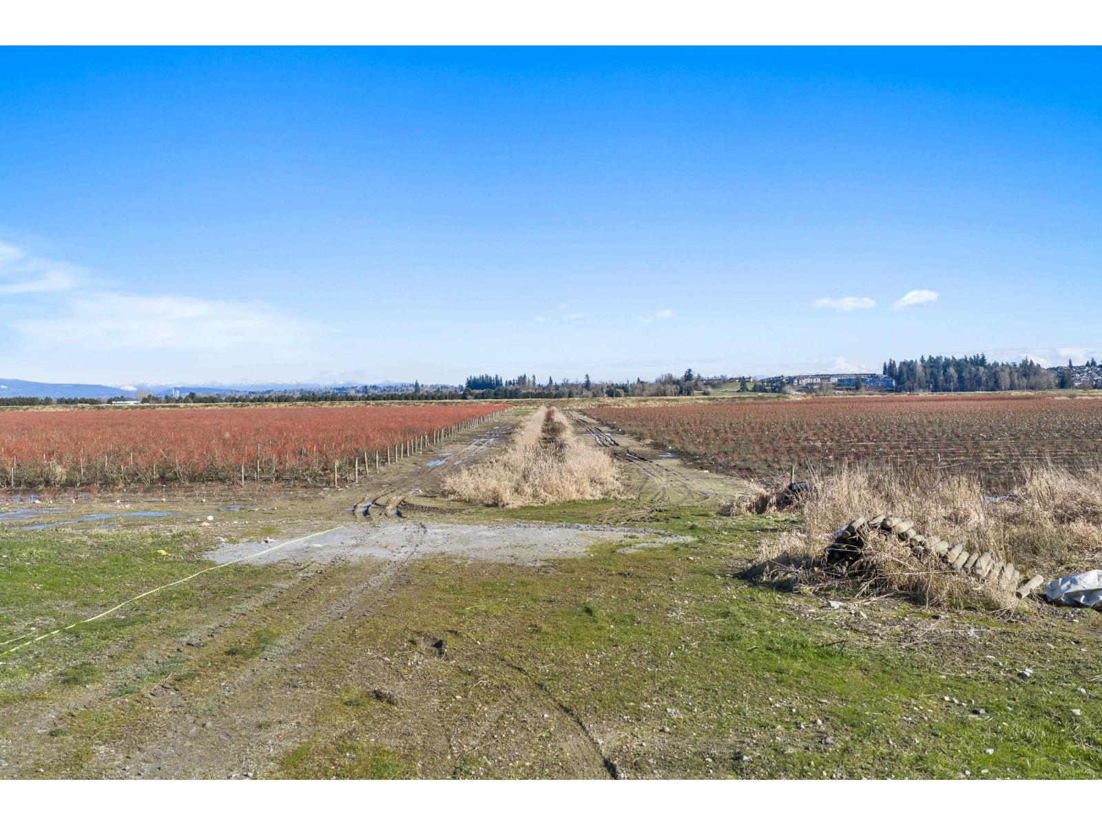 15683 64 AVENUE, Surrey