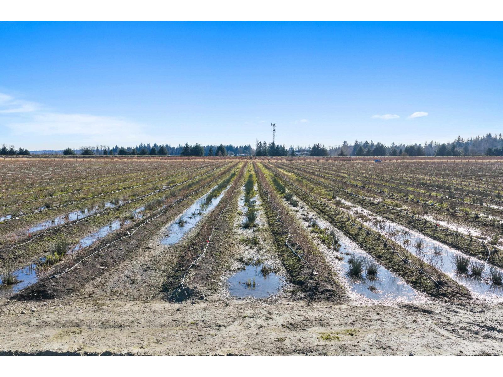 15683 64 AVENUE, Surrey