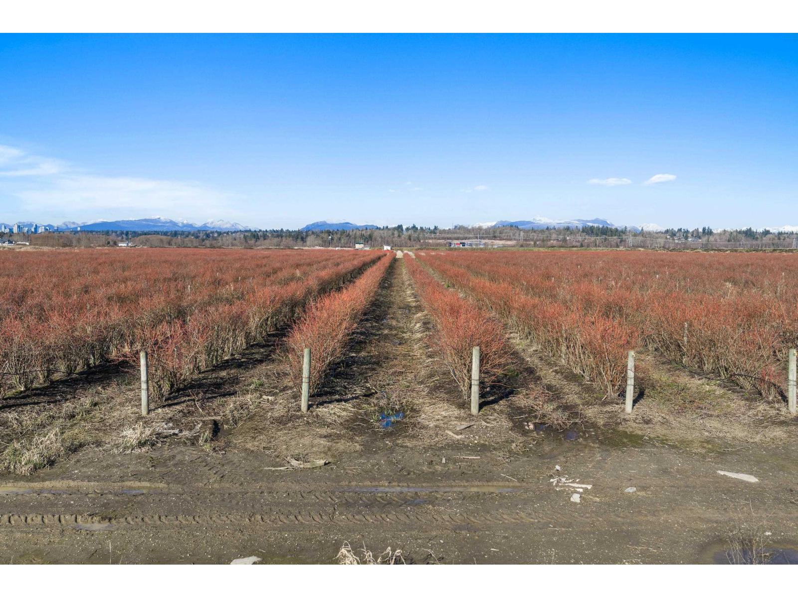 15683 64 AVENUE, Surrey