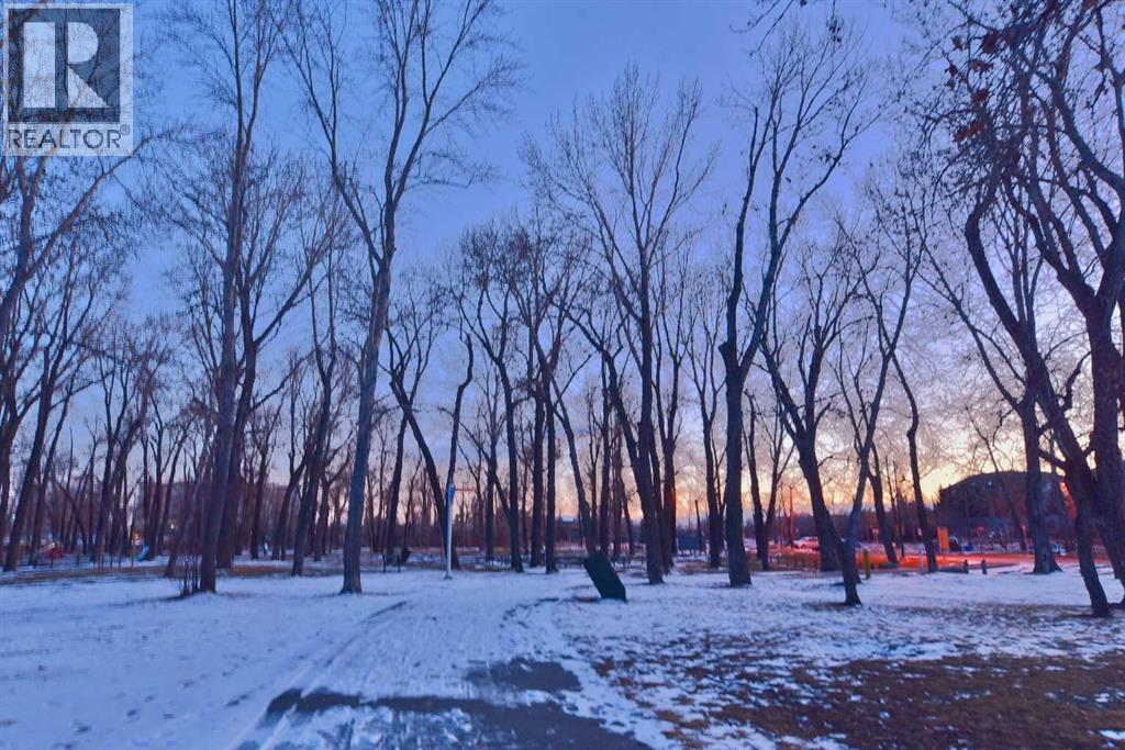 Single Family House for Sale in   INGLEWOOD Park SE Inglewood Calgary 