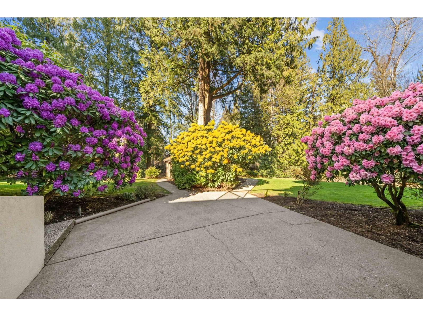 31553 BROOKSIDE AVENUE, Abbotsford