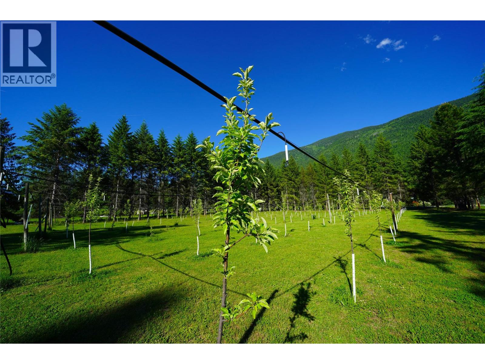 1062 Scamp Road, Castlegar