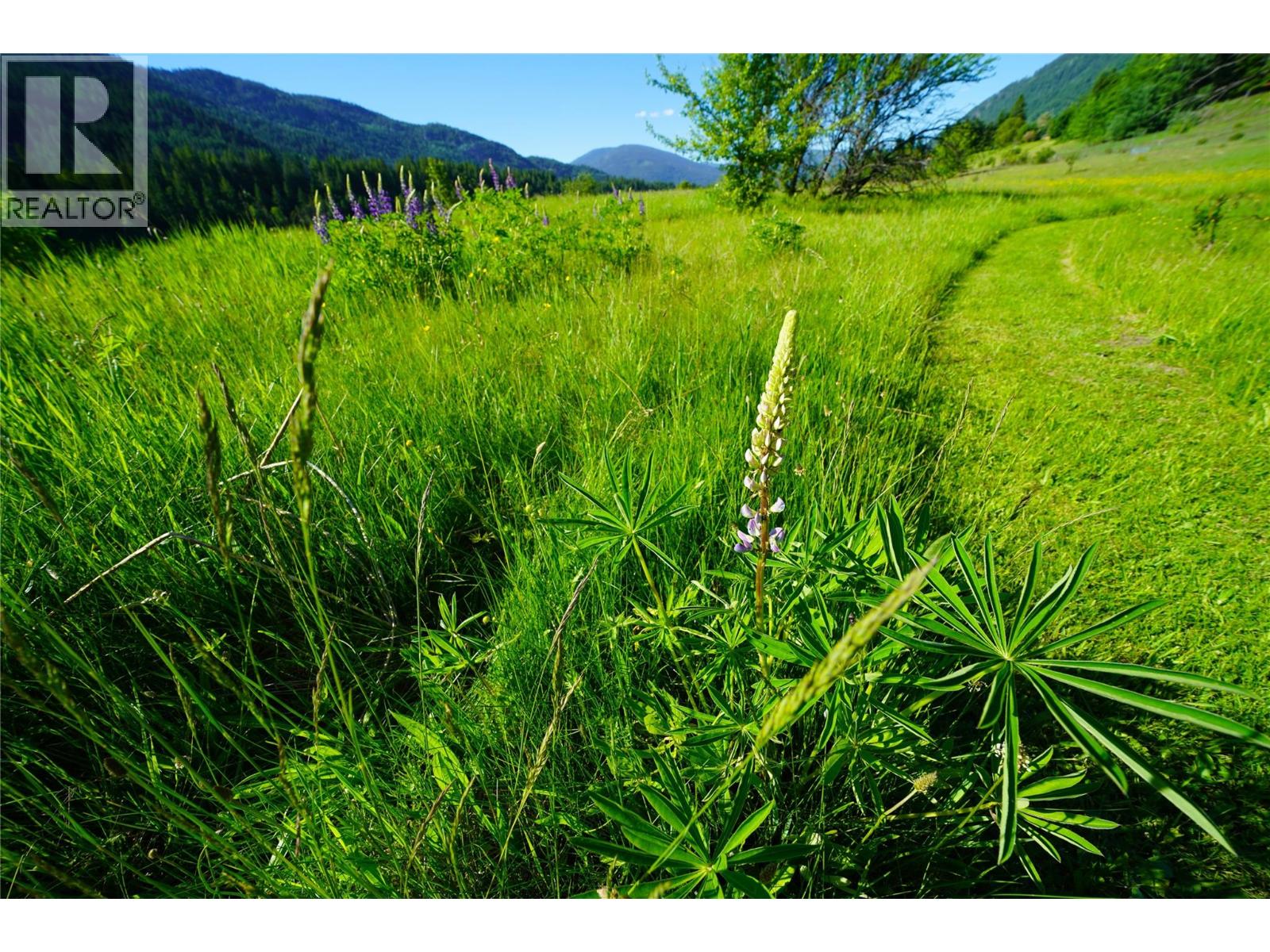 1062 Scamp Road, Castlegar