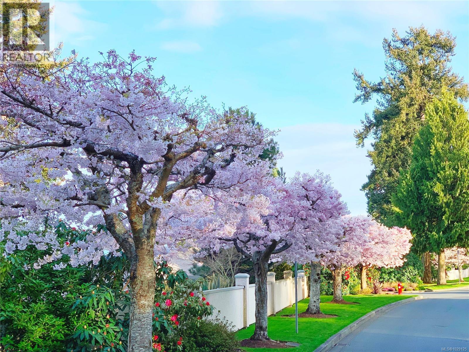  2201 ARBUTUS COVE Lane, Saanich