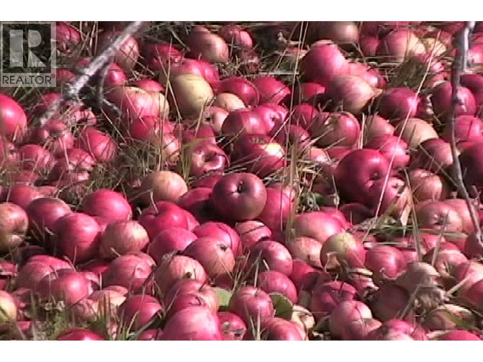 408 GRANDVIEW BENCH ROAD - 13