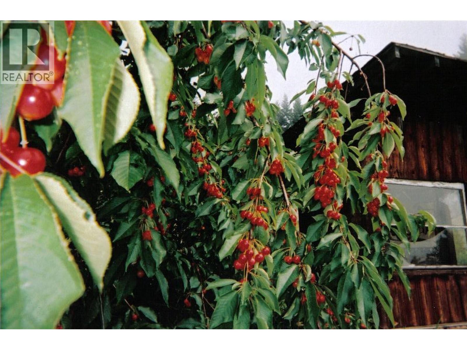 408 GRANDVIEW BENCH ROAD - 14