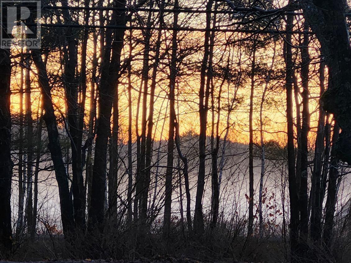 Property 39 of 39 of 15498 Highway 3 Highway