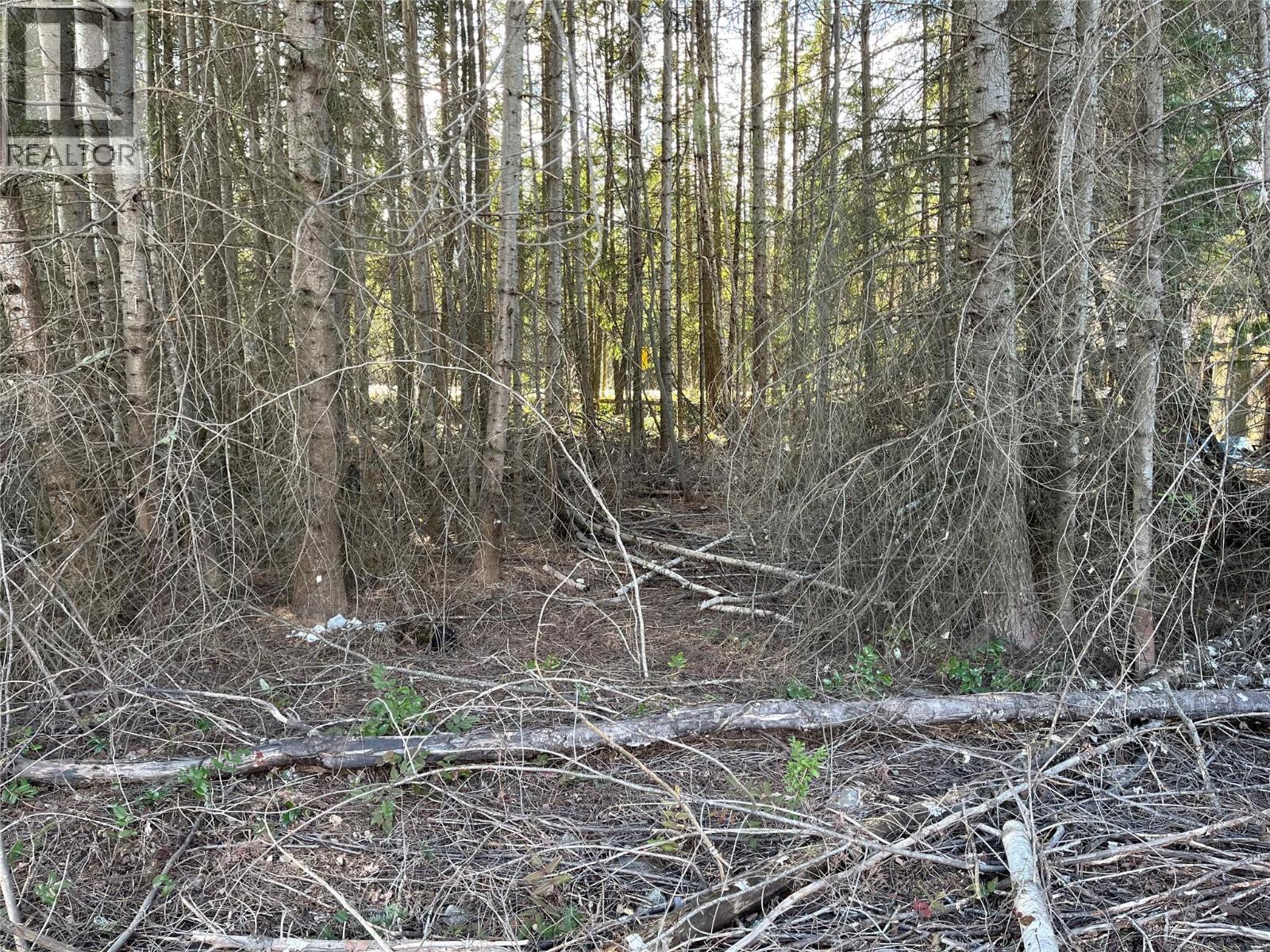 2723 Fir Drive, South Slocan