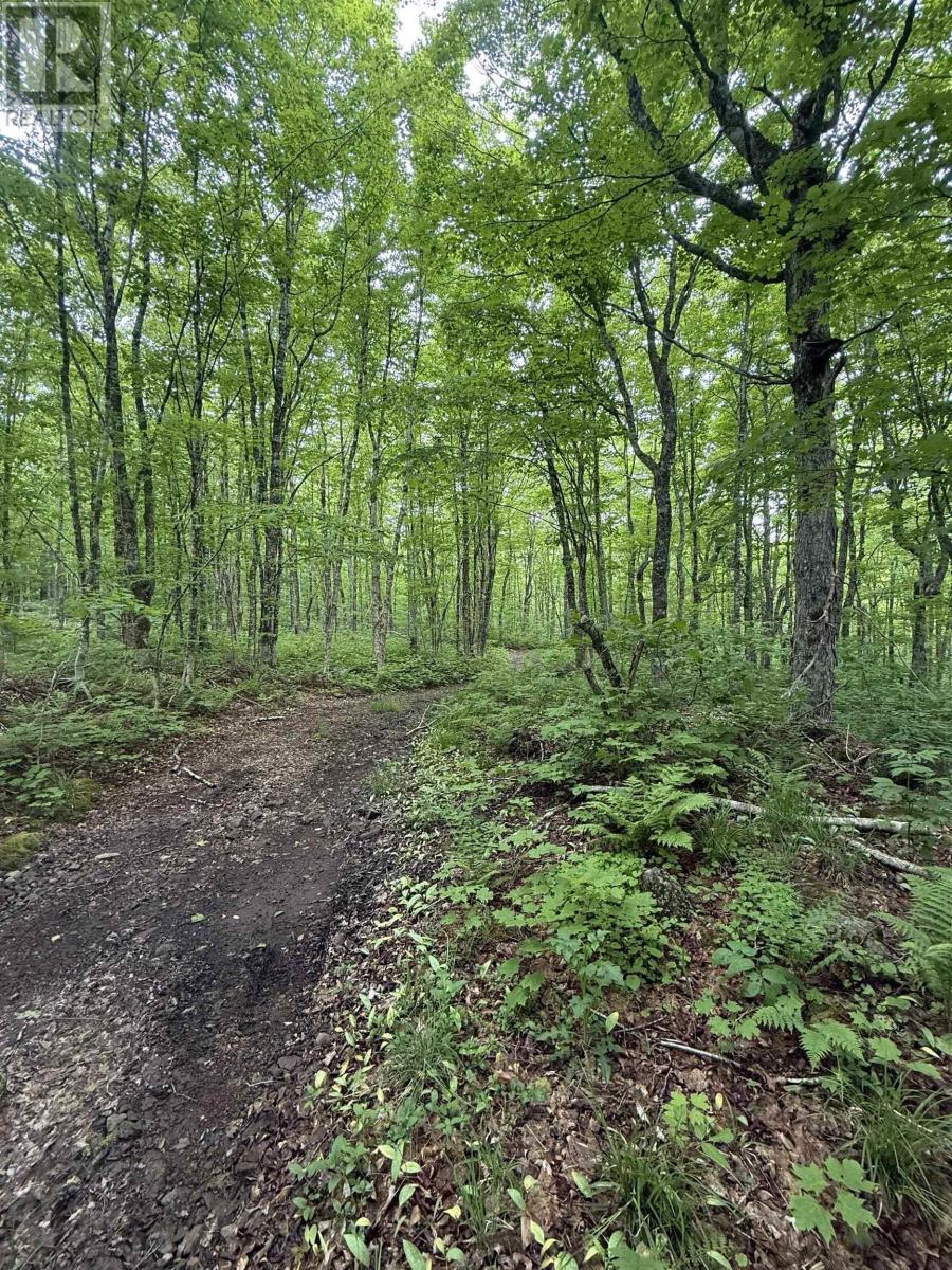 Property 4 of 10 of Lot (PID 20098885) Truro Road