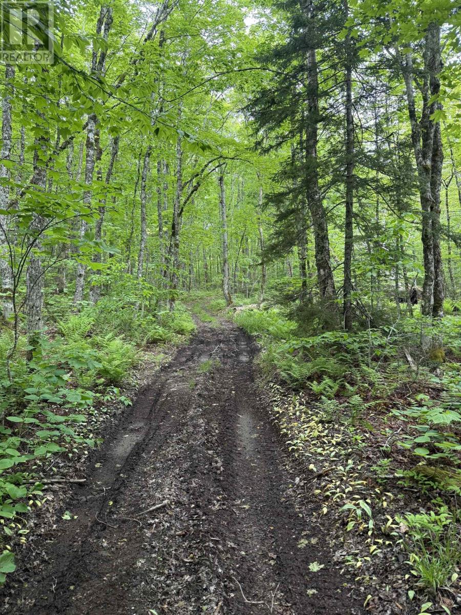 Property 6 of 10 of Lot (PID 20098885) Truro Road