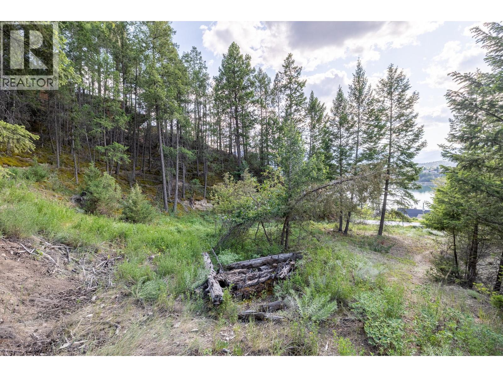 Lot 46 Upper Lakeview Road, Invermere