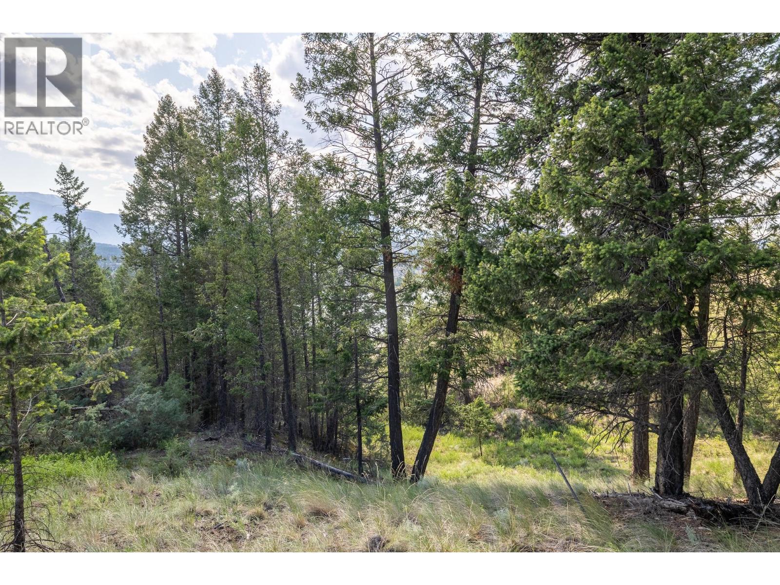 Lot 46 Upper Lakeview Road, Invermere