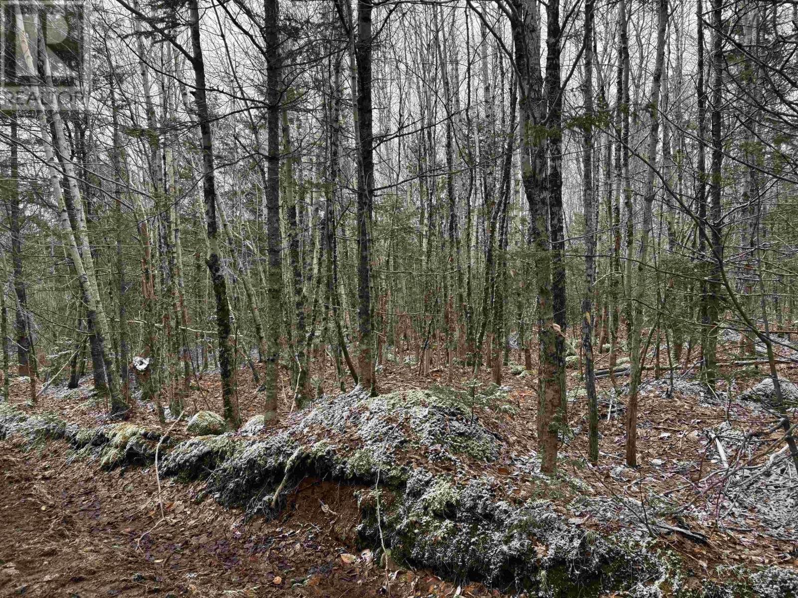 Property 12 of 20 of Lot (PID 05046693) Victory Road