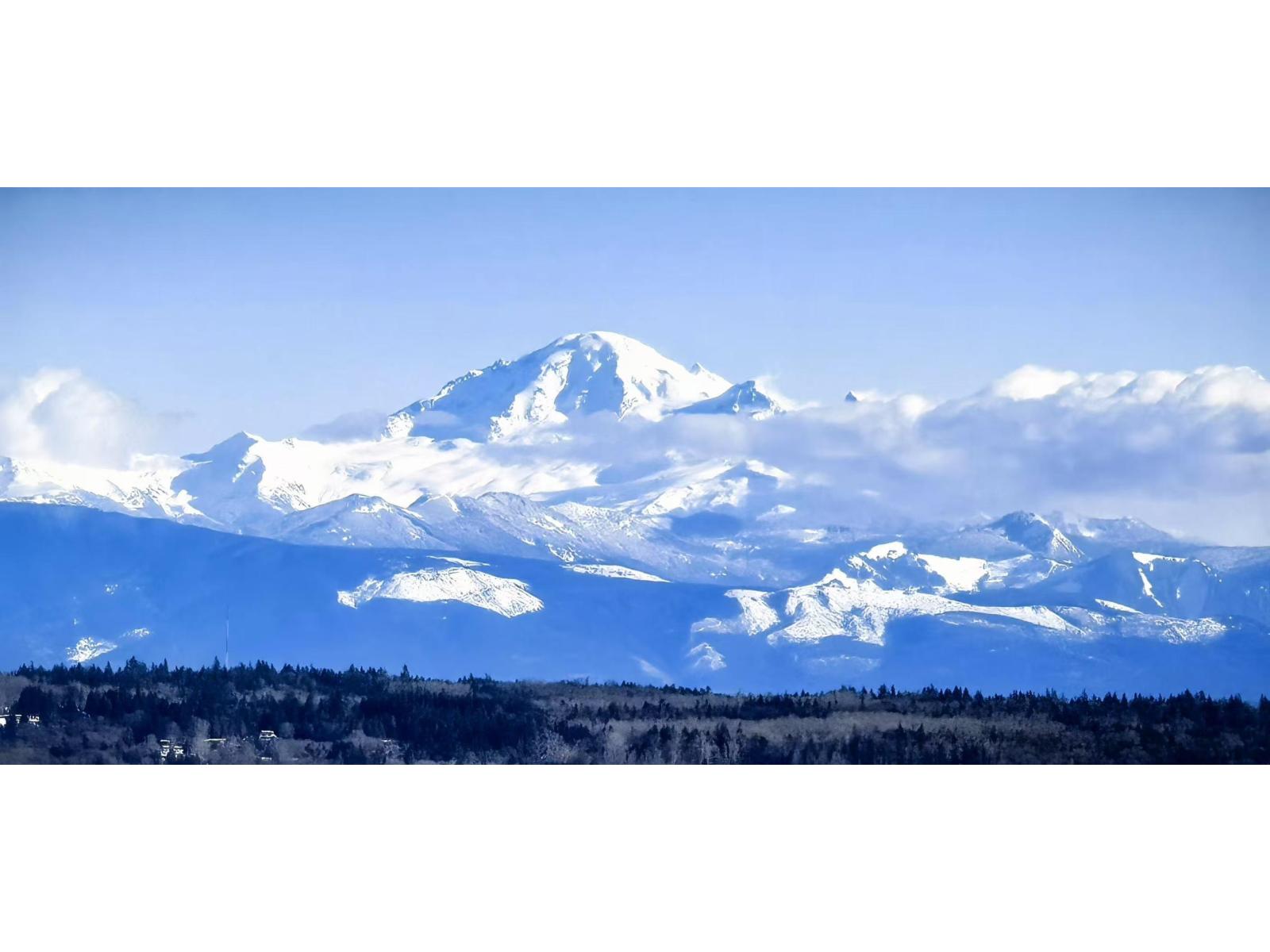 2104 1588 JOHNSTON ROAD