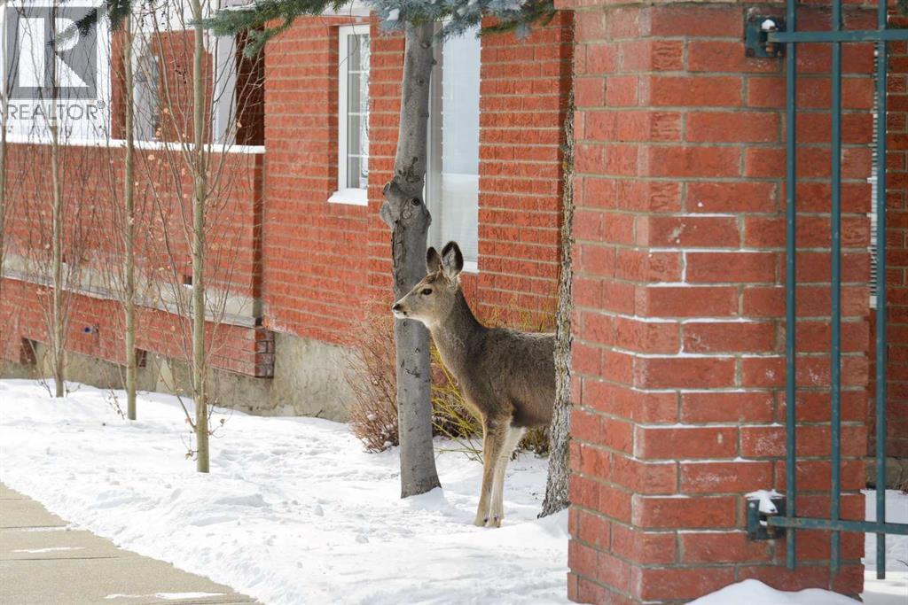 Single Family House for Sale in #  Sienna Park Green SW Signal Hill Calgary 