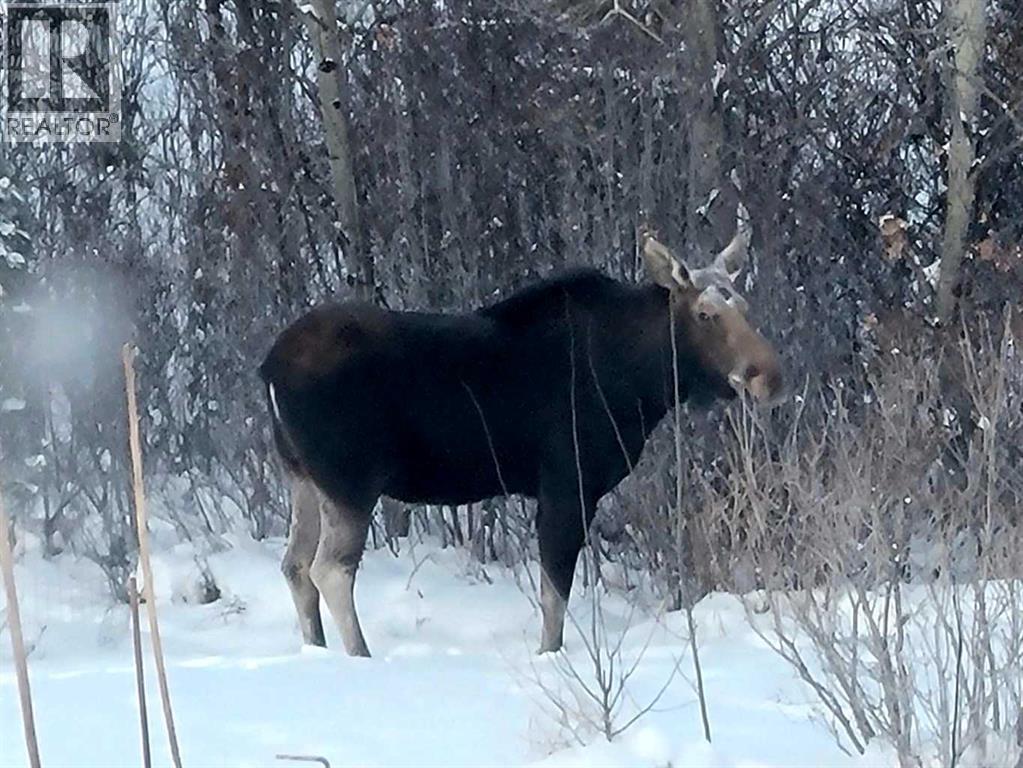 
          6 Cedar Crescent
            <br/>
            <span>Wainwright</span>
            , 
            <span>AB</span>
             <span>T9W1T2</span>
         - Photo 50