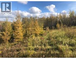 111, 16326 Twp Rd 675, Plamondon, AB T0A2T0 Photo 6