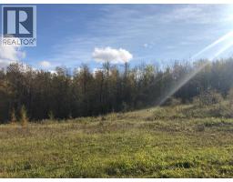 111, 16326 Twp Rd 675, Plamondon, AB T0A2T0 Photo 7