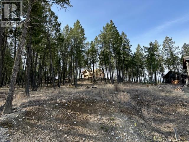2520 Cobblestone Circle, Invermere