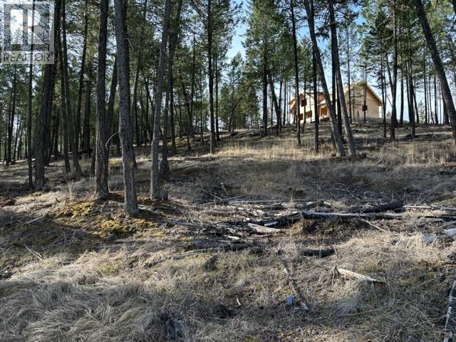 2520 Cobblestone Circle, Invermere