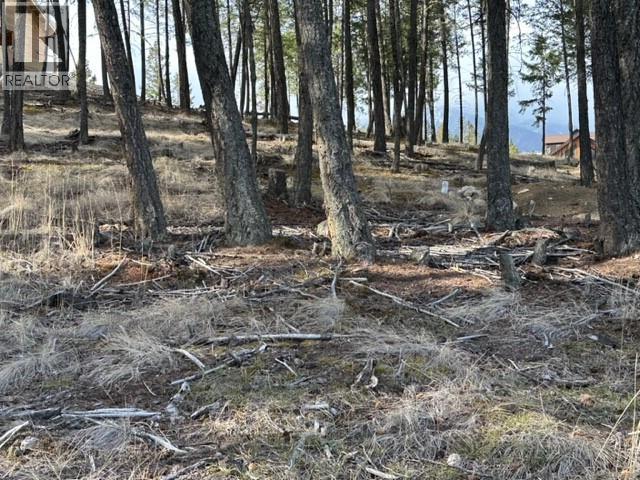 2520 Cobblestone Circle, Invermere