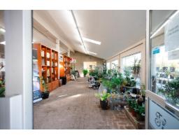 5047 184 Street, Surrey, BC V3S0L5 Photo 6