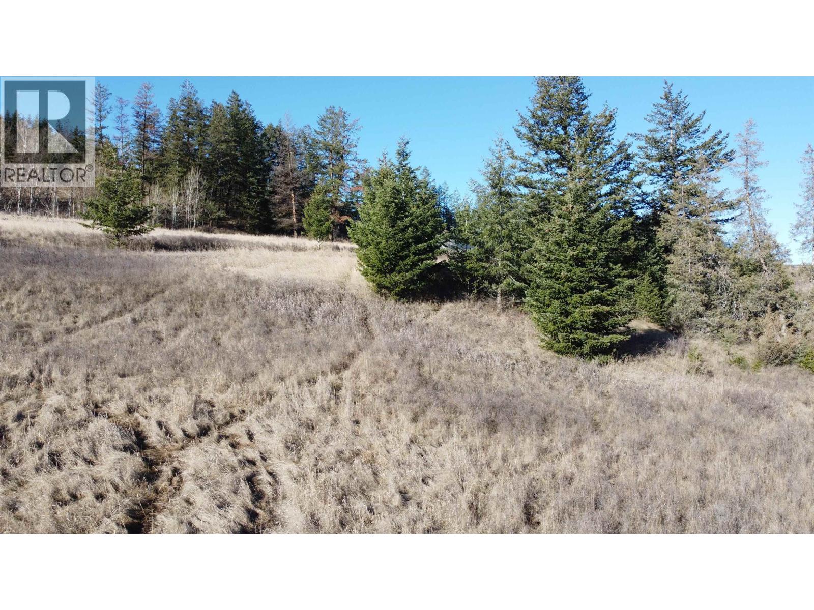 1327 SOUTH LAKESIDE DRIVE, Williams Lake