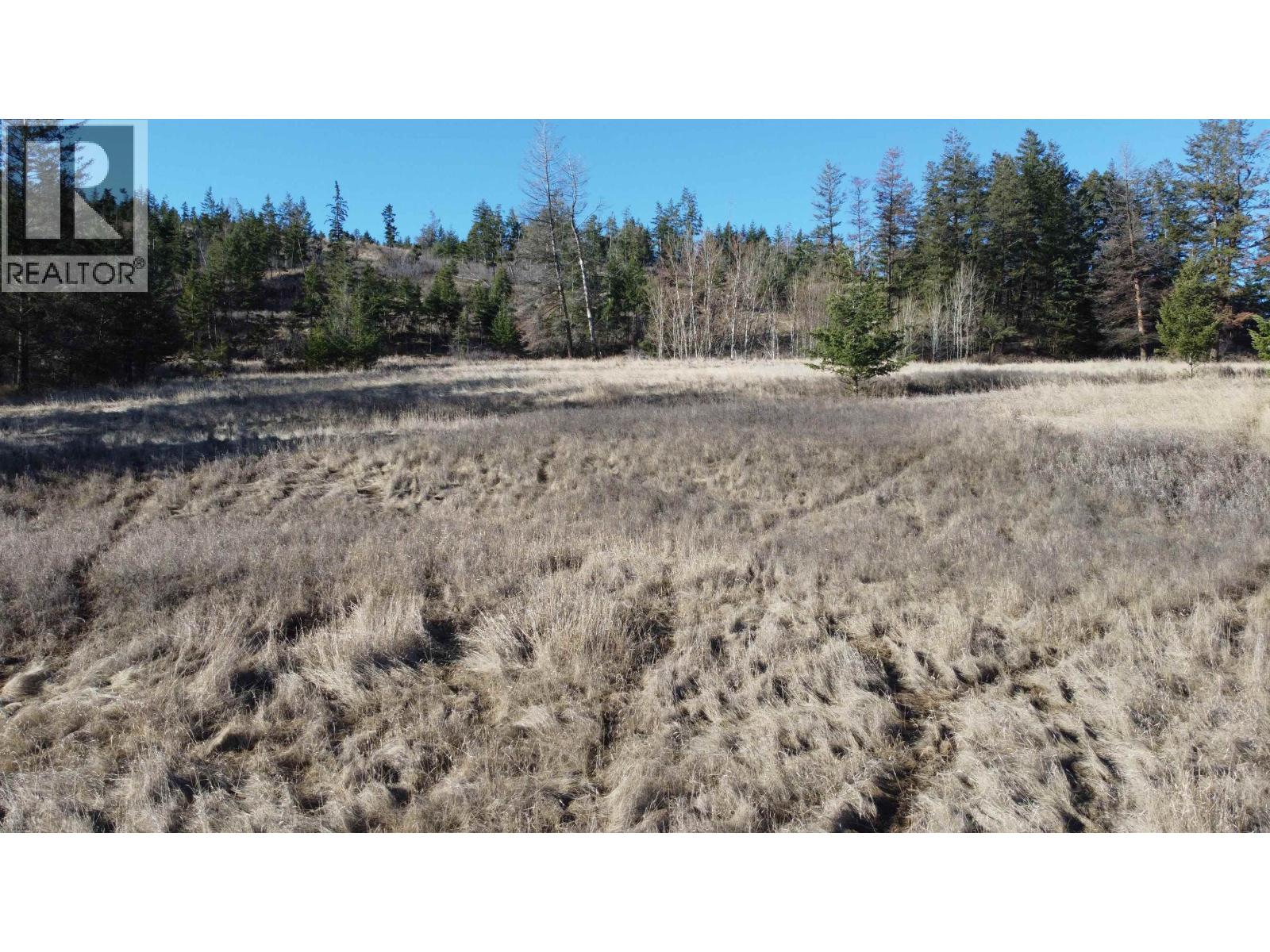 1327 SOUTH LAKESIDE DRIVE, Williams Lake