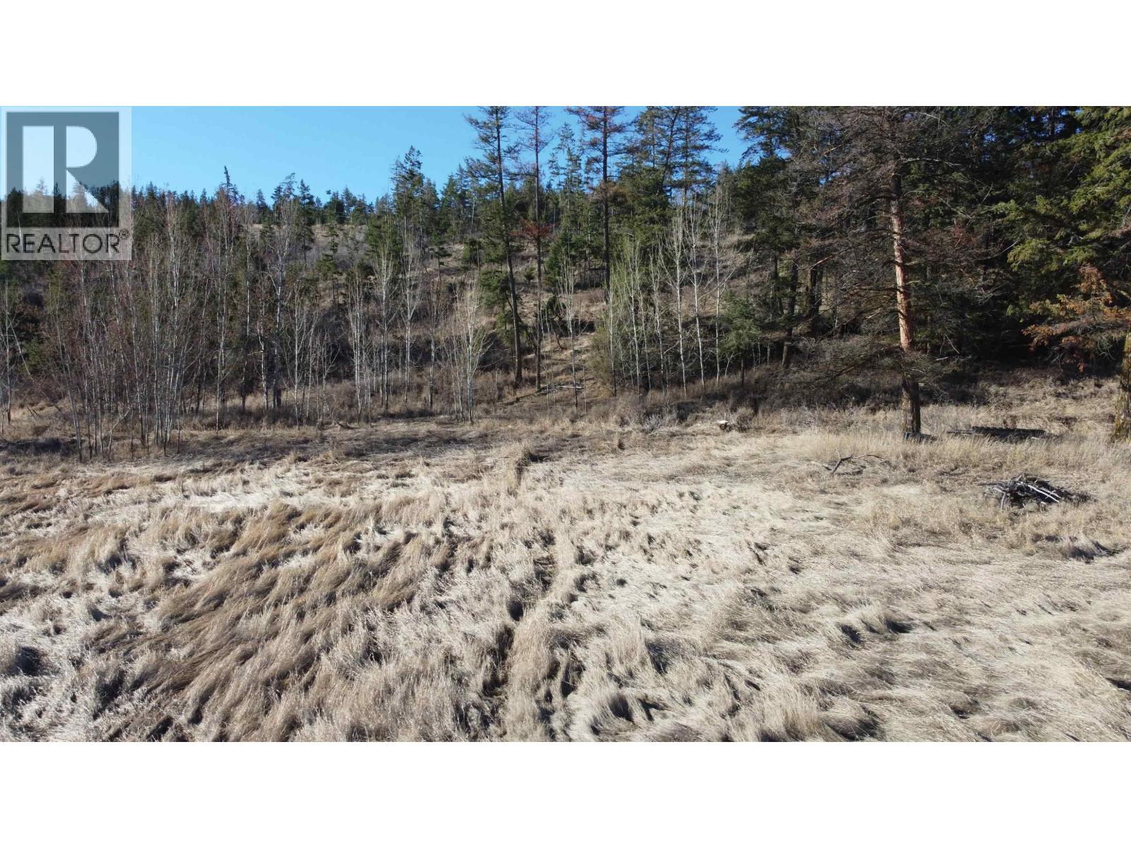 1327 SOUTH LAKESIDE DRIVE, Williams Lake