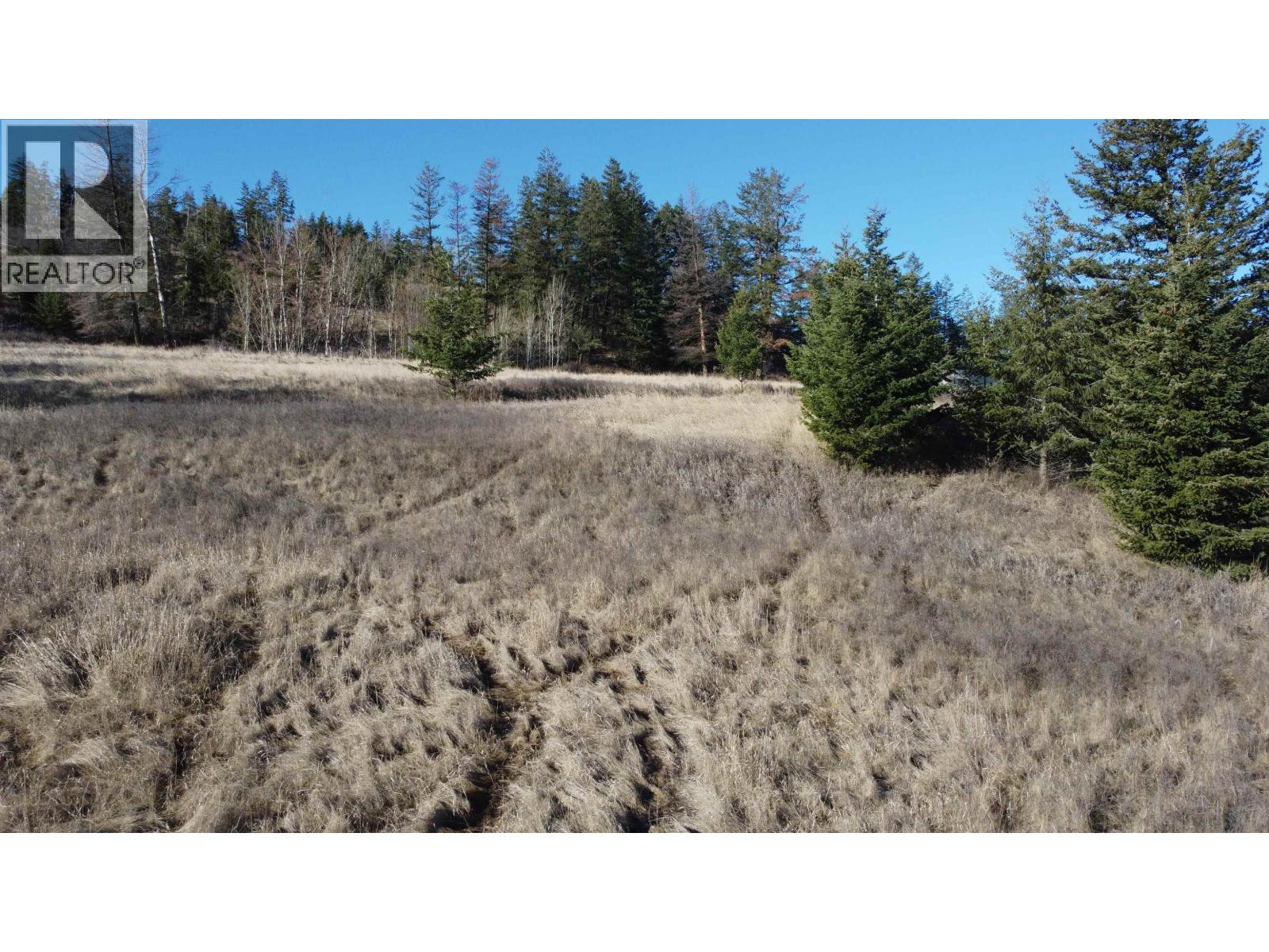 1327 SOUTH LAKESIDE DRIVE, Williams Lake