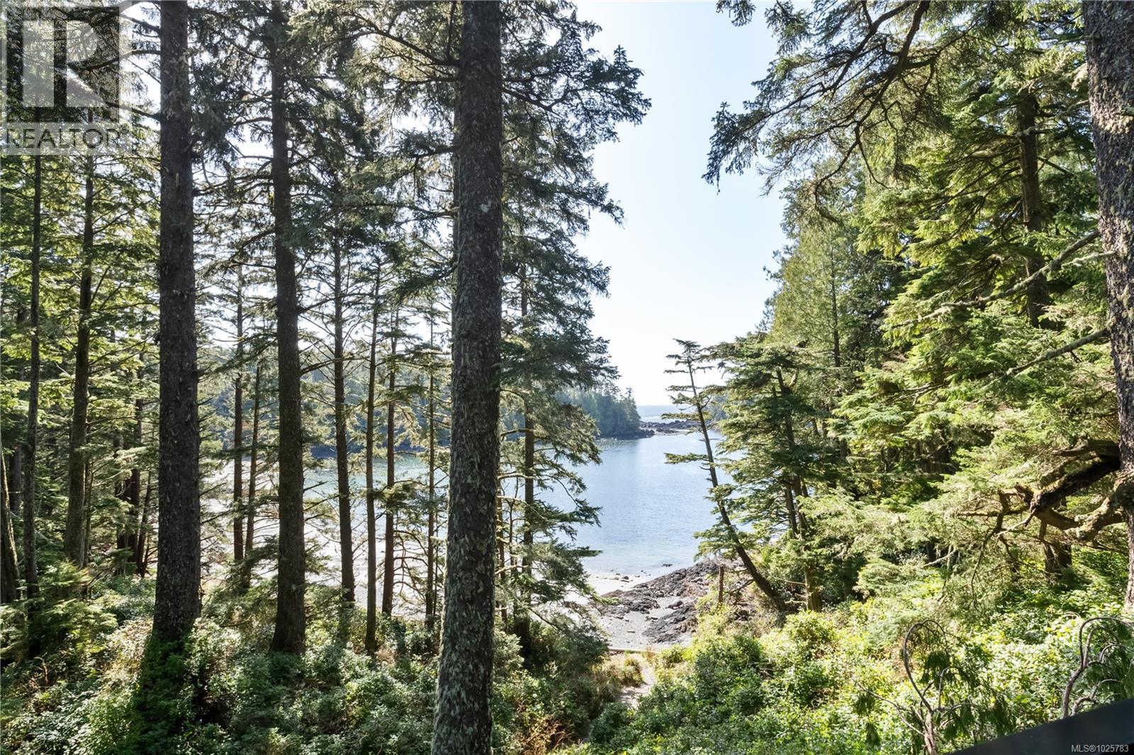 330 REEF POINT RD - 37