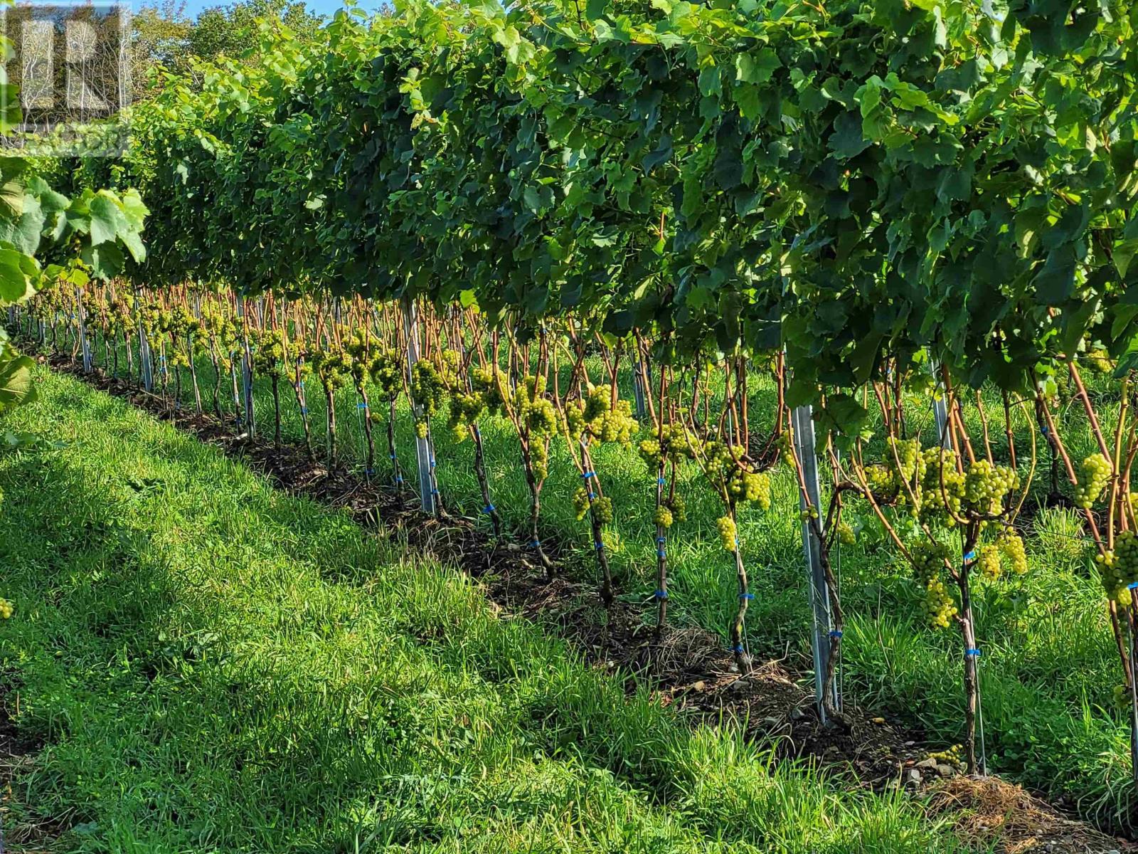 Property 32 of 37 of 4113 Highway 340