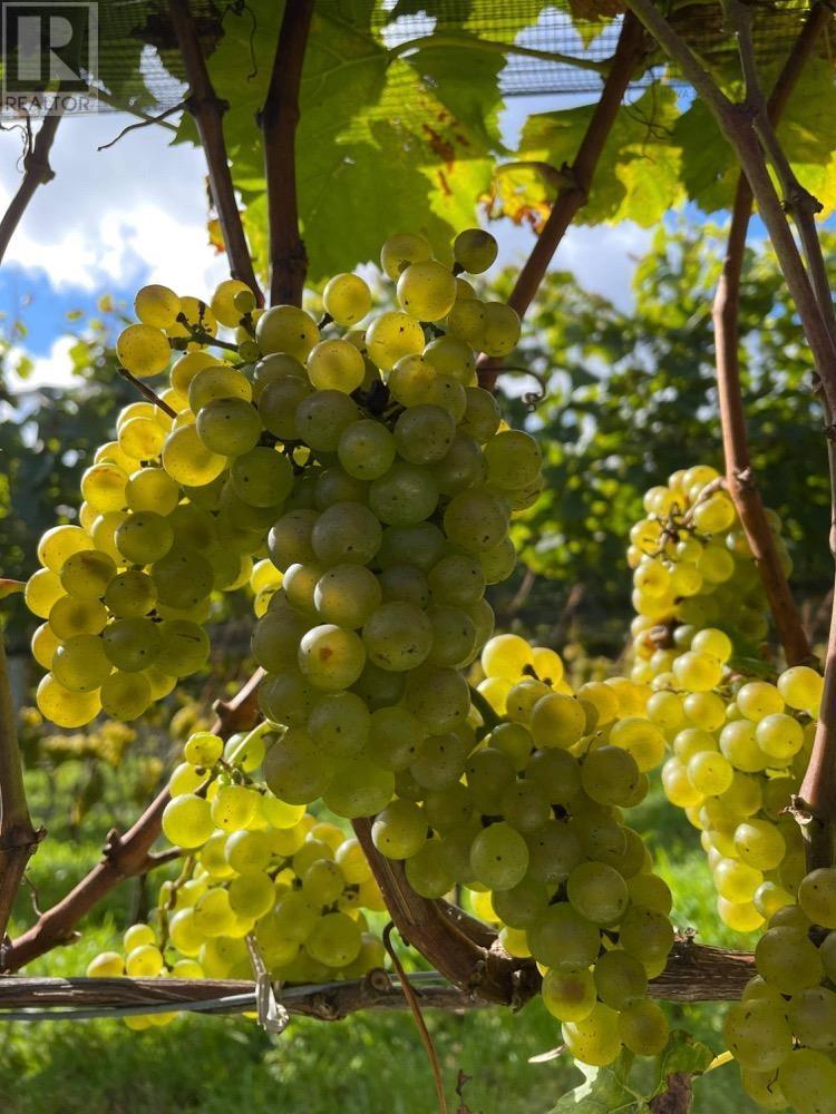 Property 9 of 37 of 4113 Highway 340