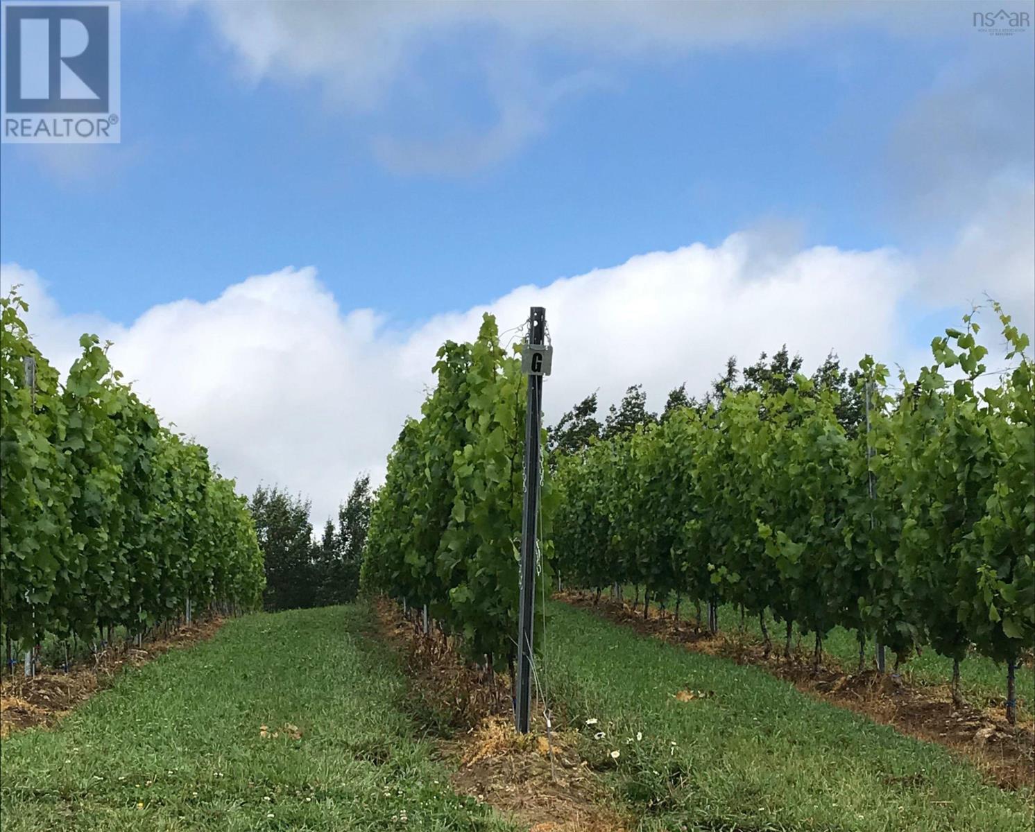 Property 4 of 37 of 4113 Highway 340