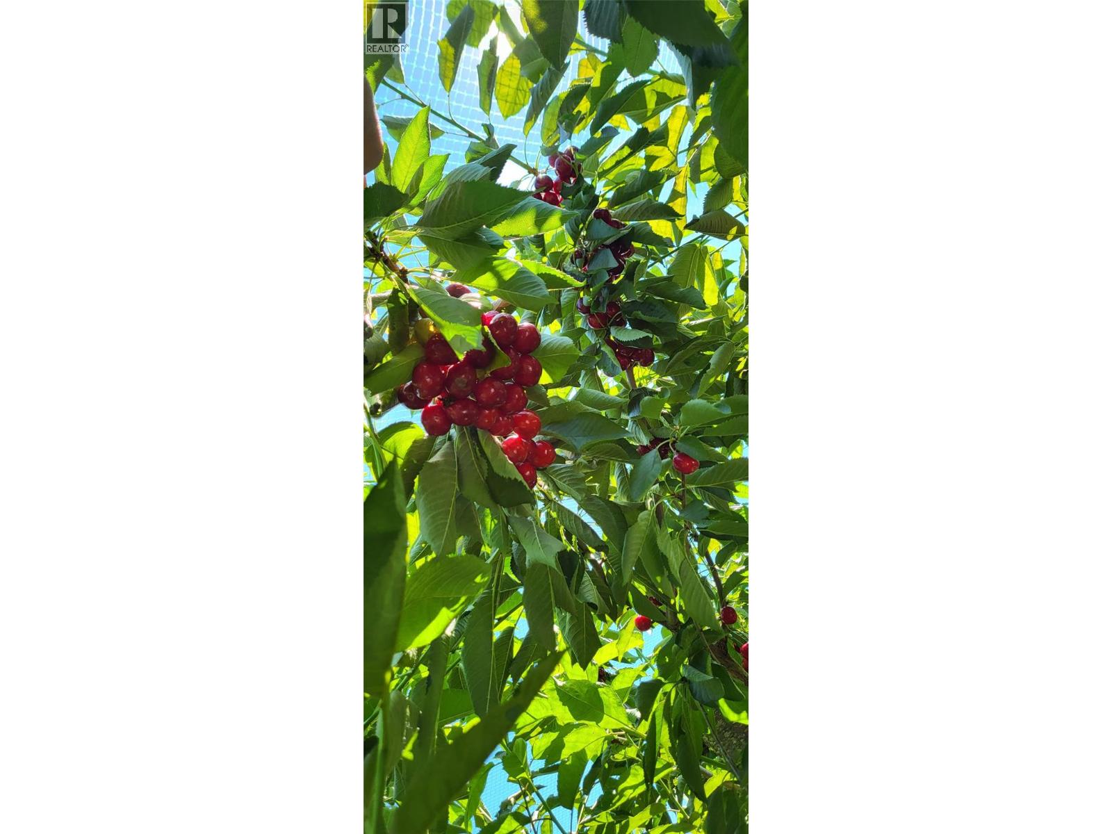 32 Preston Crescent, Enderby